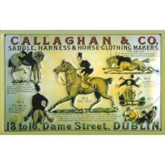Tôle Callaghan & Co