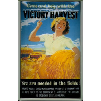 Tôle Victory Harvest